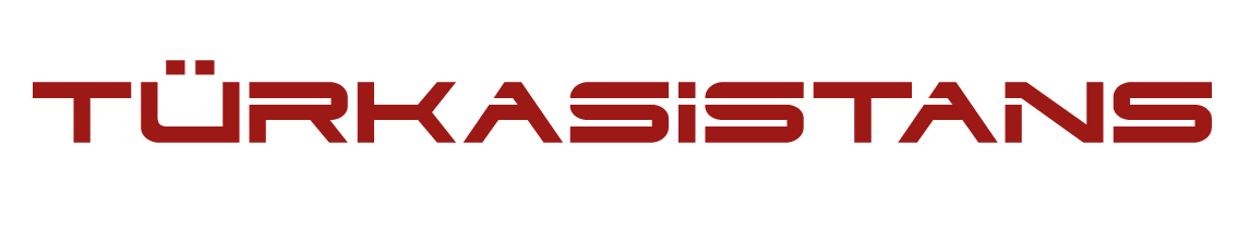TÜRK ASİSTANS